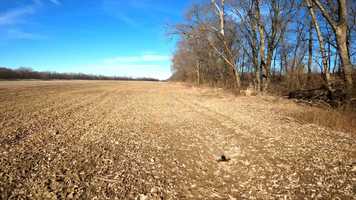 Free download The Lonely Road [4k cinematic] video and edit with RedcoolMedia movie maker MovieStudio video editor online and AudioStudio audio editor onlin